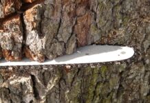 Co to znaczy Supply Chain? Co to znaczy Supply Chain?