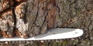 Co to znaczy Supply Chain?