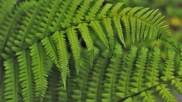 Jak dobrze wdrożyć pracownika? Jak dobrze wdrożyć pracownika?