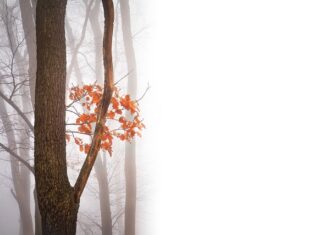 Jakie są negatywne skutki korzystania z internetu?