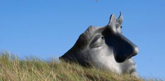 Jak uspokoić płaczące dziecko w przedszkolu?
