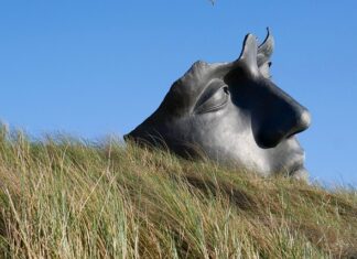 Jak uspokoić płaczące dziecko w przedszkolu?