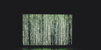 Jak działa algorytm genetyczny?