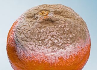 Jakie są formy finansowania?