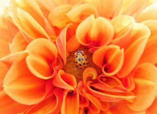 Kiedy zespół jest efektywny?