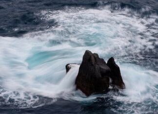 Z czego wynika cena akcji?