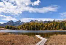 Jak ubrać się na staż?