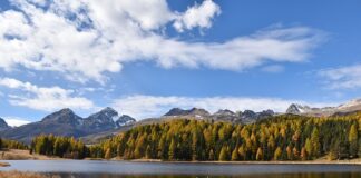 Jak ubrać się na staż?