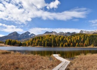 Jak ubrać się na staż?