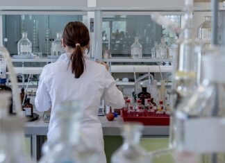 Na czym polega badanie rynku?