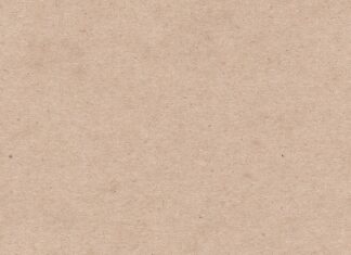 Co powinna zawierać teczka PPP?