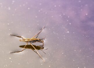 Co to jest zwinny łańcuch dostaw? Co to jest zwinny łańcuch dostaw?