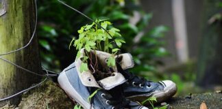 Jak przekonwertować plik?