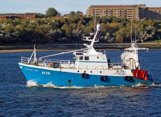 Jak obliczyć tarcze podatkowa?