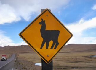 Co to jest krzyżowanie losowe?