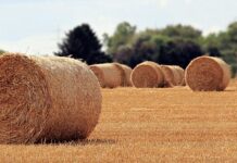 Jaka jest rola ubezpieczeń?