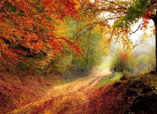 Co oznacza spadek ROE?