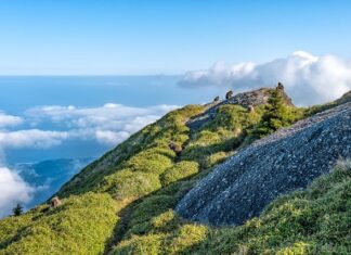 Jaka jest różnica między akcjami a obligacjami?