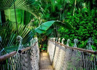 Co dają kursy z certyfikatem? Co dają kursy z certyfikatem?