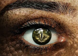 Ile firma dostaje za ucznia?