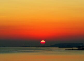 W co warto inwestować?