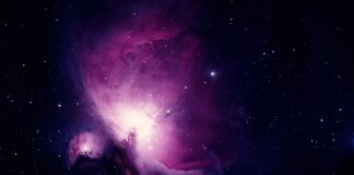 Czy badania marketingowe są potrzebne?