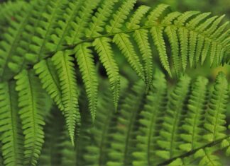 Jak wdrożyć pracownika? Jak wdrożyć pracownika?