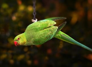 W jaki sposób dostosowanie metod pracy do indywidualnych potrzeb dziecka?